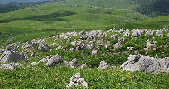 �y�G�[�XJTB�E�������s�z�R���c�A�[�E�R���̗��فE�z�e���\��@